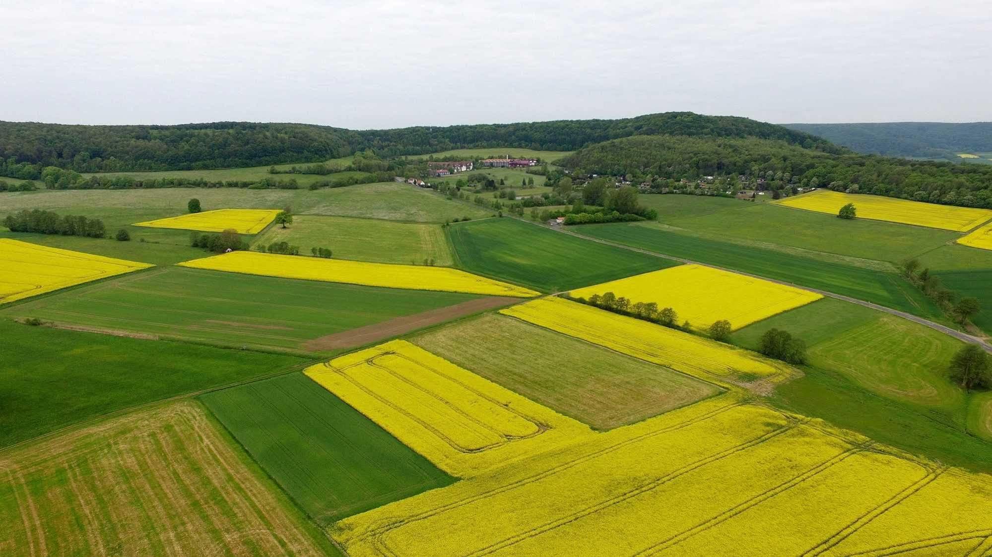 Hessen Hotelpark Hohenroda Hohenroda  Luaran gambar